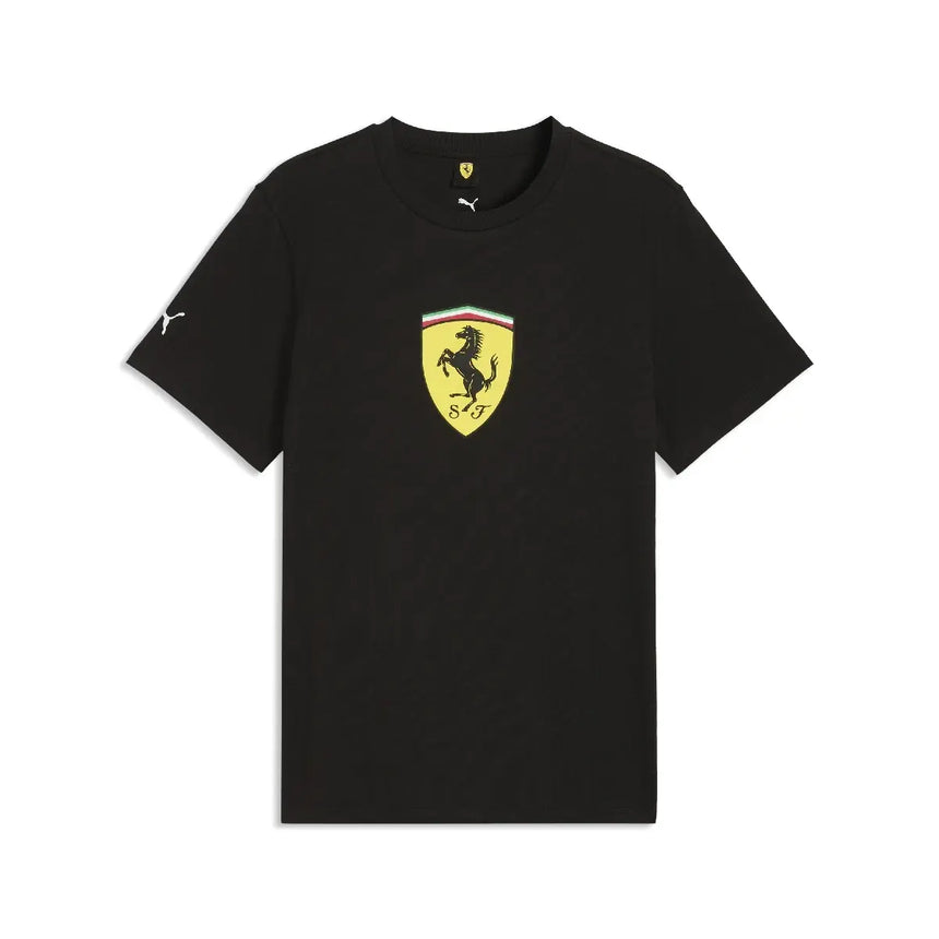 Polo Ferrari, scut colorat, negru