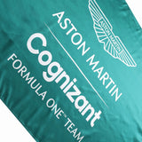 Steag, Aston Martin Team Grandstand, Verde, 2022