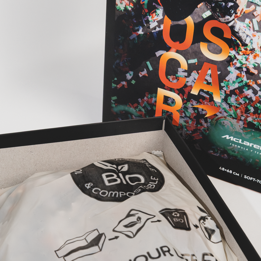 Echipa McLaren Formula 1®, Puzzle, Oscar Piastri, Prima victorie în Marele Premiu, 1000 piese