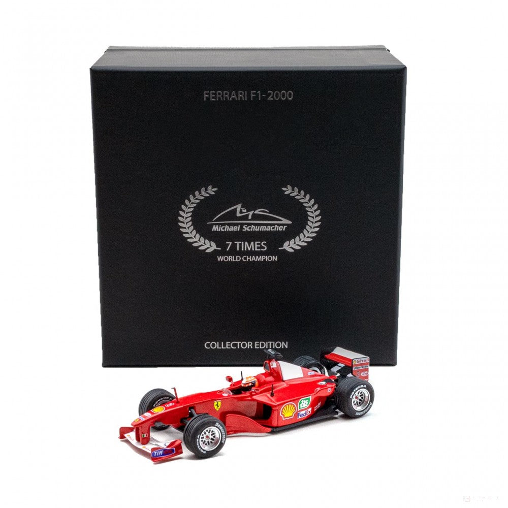 Michael Schumacher Ferrari F1-200Winner Europe GP 2001:43