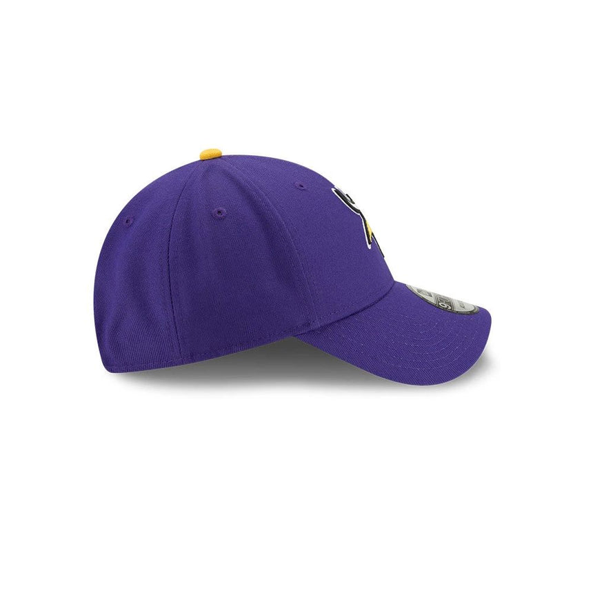 NFL Minnesota Vikings team cap
