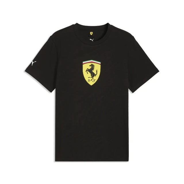 Polo Ferrari, scut colorat, negru